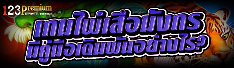 เกมไพ่เสือมังกร มีคู่มือเดิมพันอย่างไร?