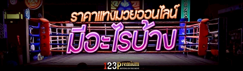 ราคาแทงมวยออนไลน์ มีอะไรบ้าง